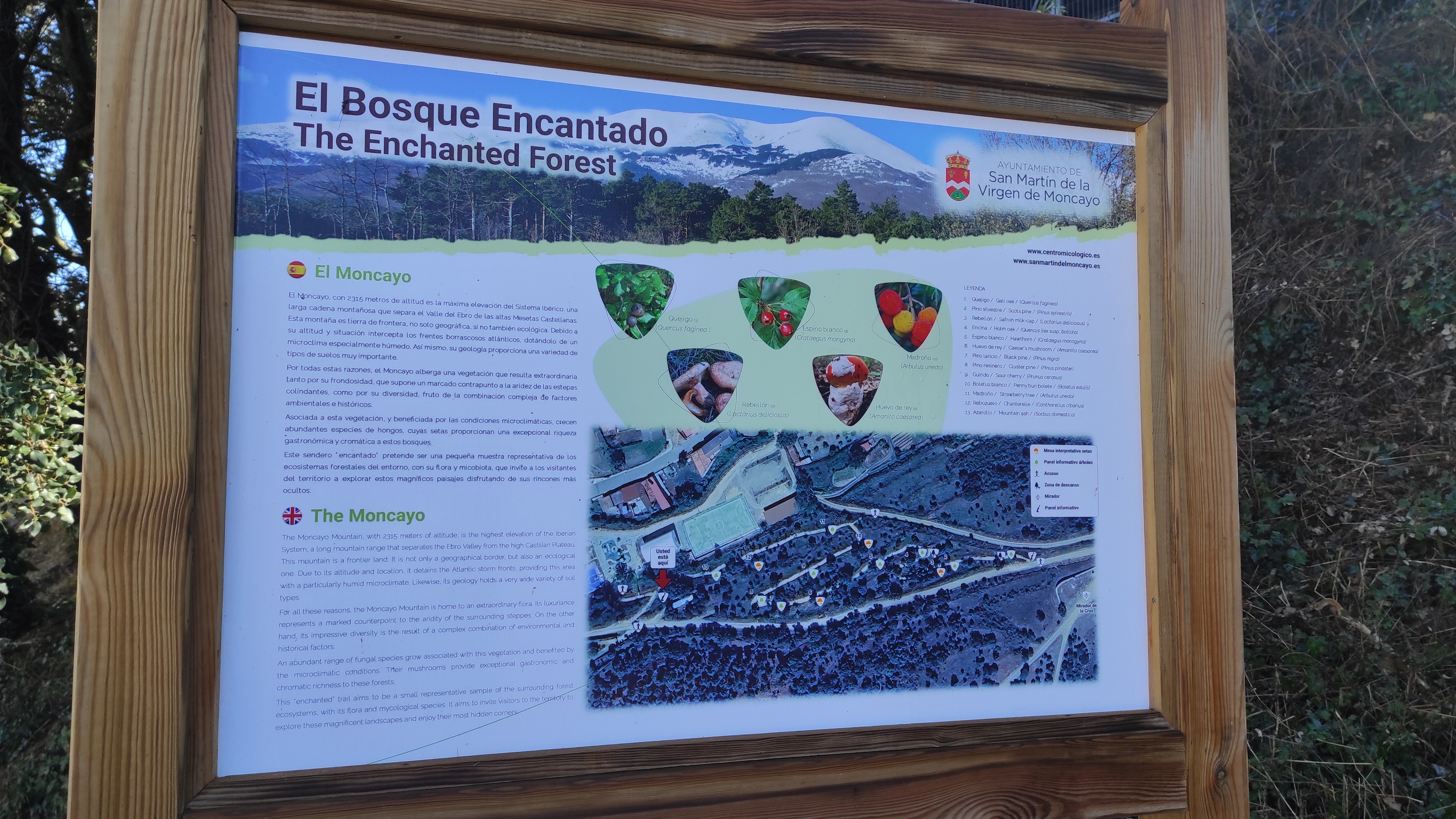 Copia de IMG_20251030_113136.jpg